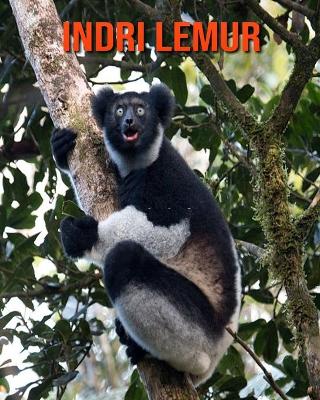 Book cover for Indri Lemur