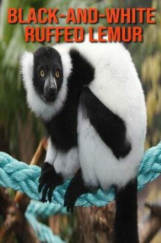 Cover of Black-and-White Ruffed Lemur