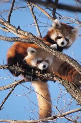 Cover of Two Red Pandas Playing in a Tree journal