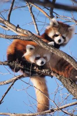 Book cover for Two Red Pandas Playing in a Tree journal