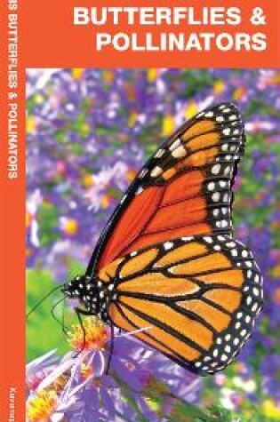 Cover of Illinois Butterflies & Pollinators