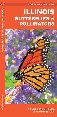 Book cover for Illinois Butterflies & Pollinators