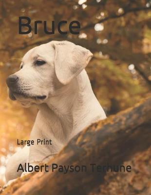 Book cover for Bruce