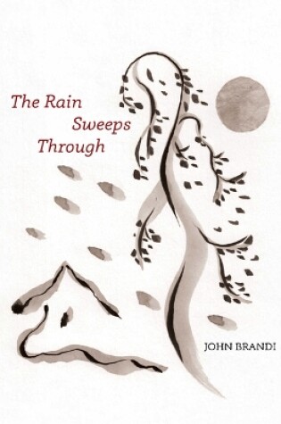 Cover of The Rain Sweeps Through