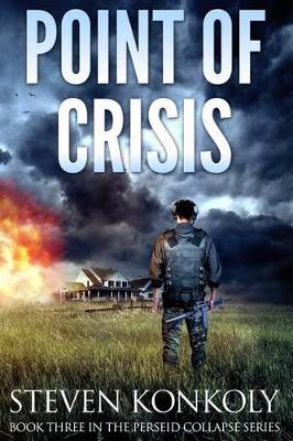 Book cover for Point of Crisis