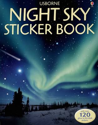 Book cover for Night Sky Sticker Book