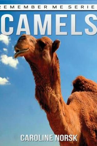 Cover of Camels