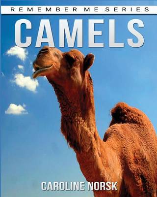 Cover of Camels