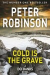 Book cover for Cold is the Grave