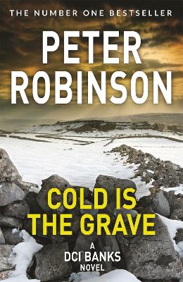 Book cover for Cold is the Grave