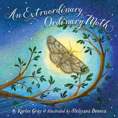 Book cover for An Extraordinary Ordinary Moth