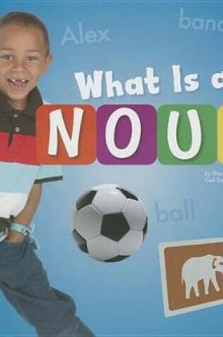 Cover of What Is a Noun?