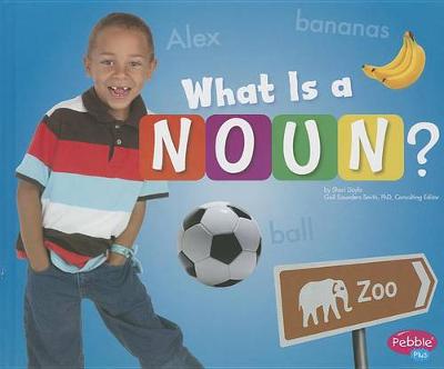 Cover of What Is a Noun?