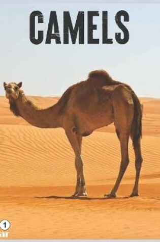 Cover of Camels 2021 Calendar