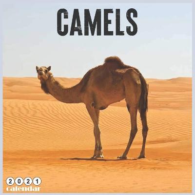 Book cover for Camels 2021 Calendar
