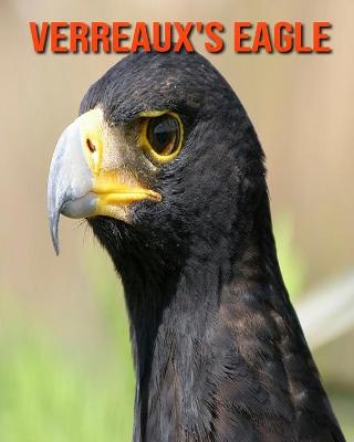 Book cover for Verreaux's Eagle