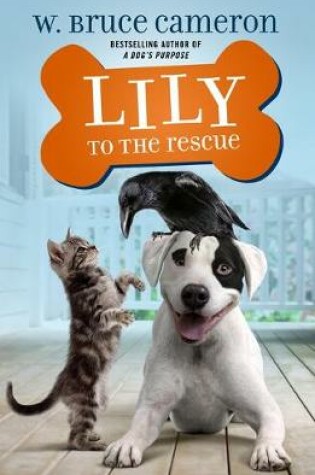 Cover of Lily to the Rescue