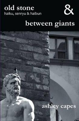 Book cover for Old Stone & Between Giants