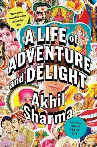 Cover of A Life of Adventure and Delight