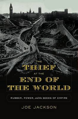Book cover for The Thief at the End of the World