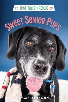 Book cover for Sweet Senior Pups