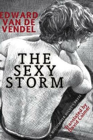 Cover of The Sexy Storm