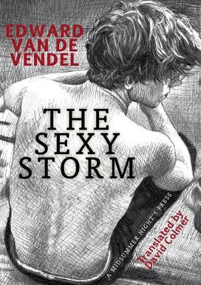 Book cover for The Sexy Storm