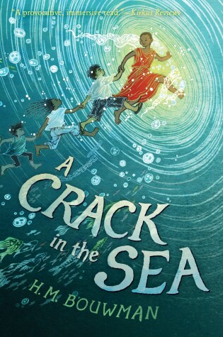 Cover of A Crack in the Sea