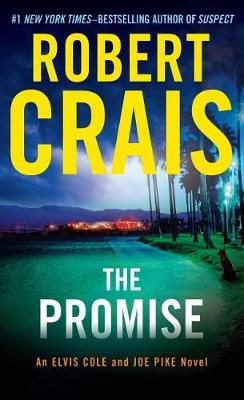 Book cover for The Promise