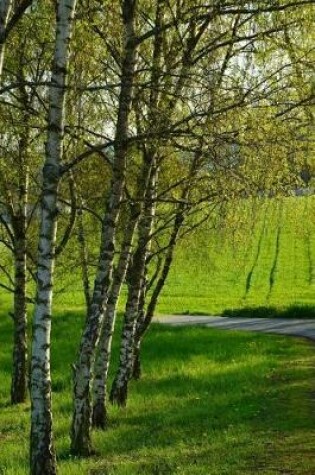 Cover of Birch Trees in a Field Journal