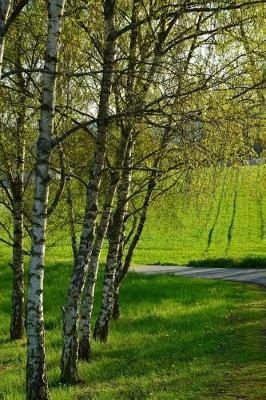 Book cover for Birch Trees in a Field Journal