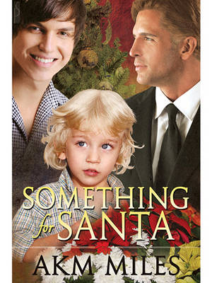 Book cover for Something for Santa