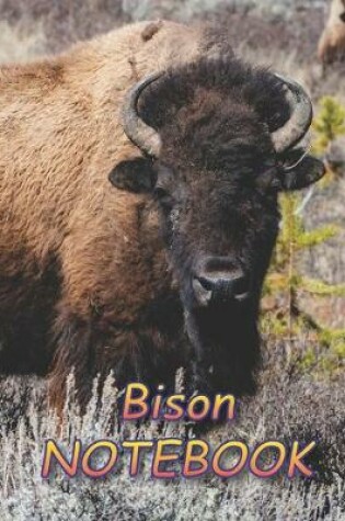 Cover of Bison NOTEBOOK