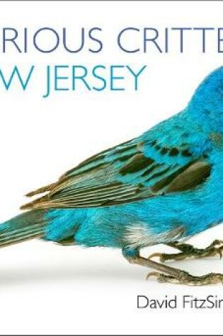 Cover of Curious Critters New Jersey