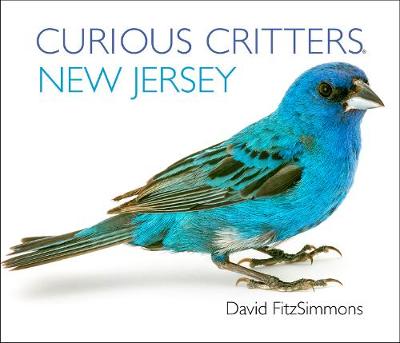 Book cover for Curious Critters New Jersey