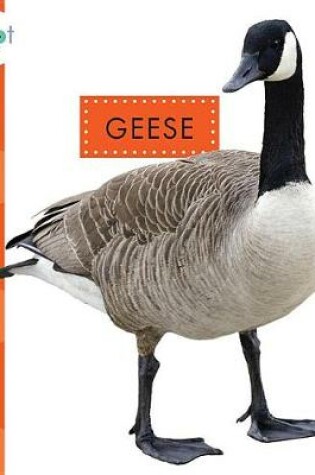 Cover of Geese