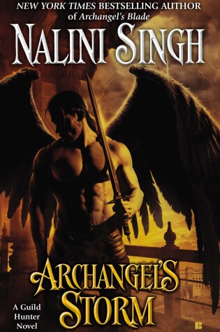 Cover of Archangel's Storm