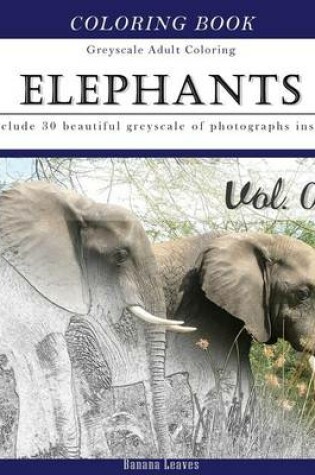 Cover of Elephants Wild Safari