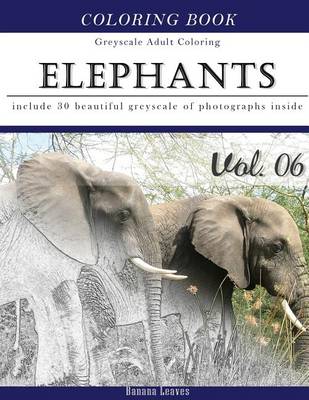 Book cover for Elephants Wild Safari