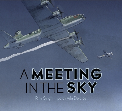 Book cover for A Meeting in the Sky