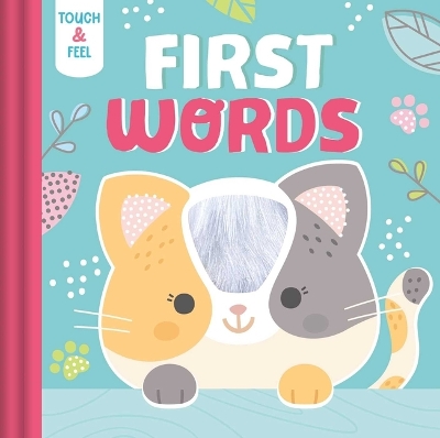 Book cover for Touch & Feel First Words