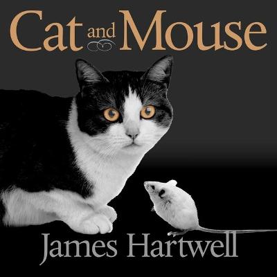 Book cover for Cat and Mouse