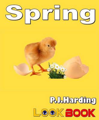 Book cover for Spring