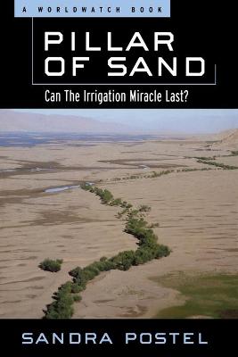 Book cover for Pillar of Sand