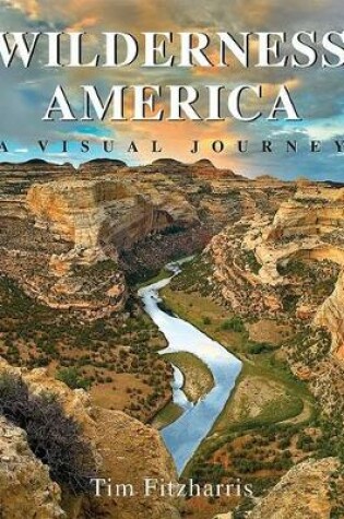 Cover of Wilderness America