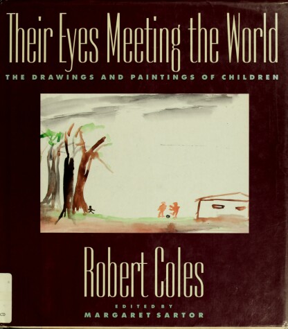 Book cover for Their Eyes Meeting the World