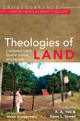 Book cover for Theologies of Land