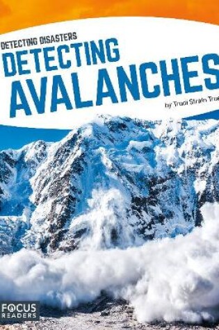 Cover of Detecting Avalanches