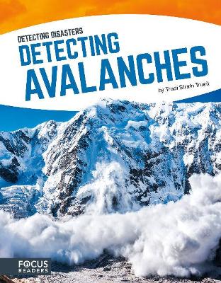 Book cover for Detecting Avalanches