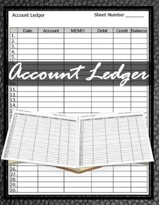 Book cover for Account Ledger